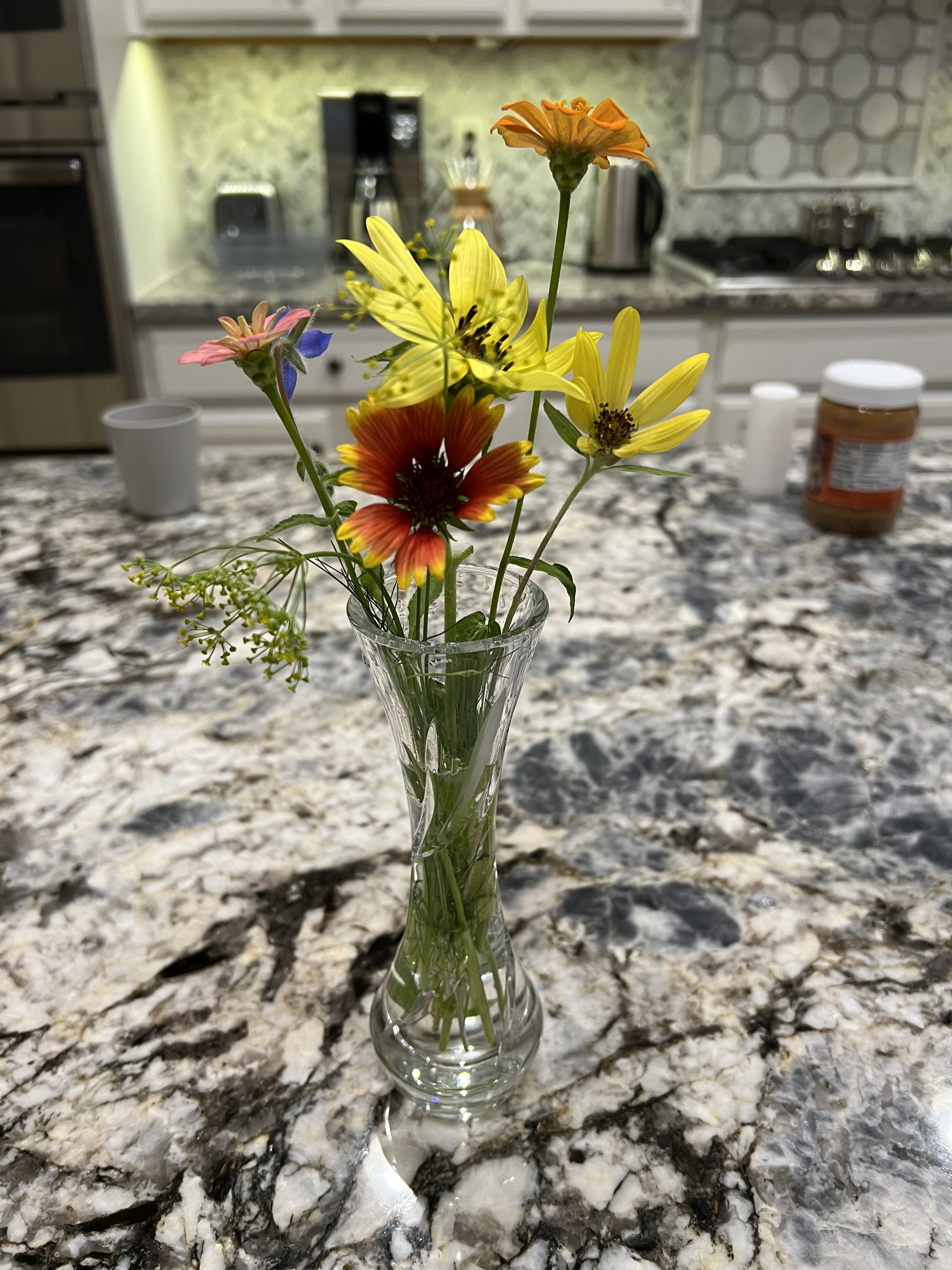 IMG_1881.png